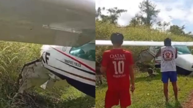 O monomotor caiu na tarde desta sexta-feira (27) (Imagens: Fato Regional)