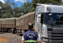 Mais de 35 mil garrafas de cachaça são apreendidas na Serra do Cachimbo. — Foto: Divulgação/Sefa