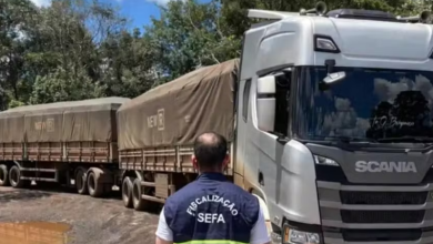 Mais de 35 mil garrafas de cachaça são apreendidas na Serra do Cachimbo. — Foto: Divulgação/Sefa