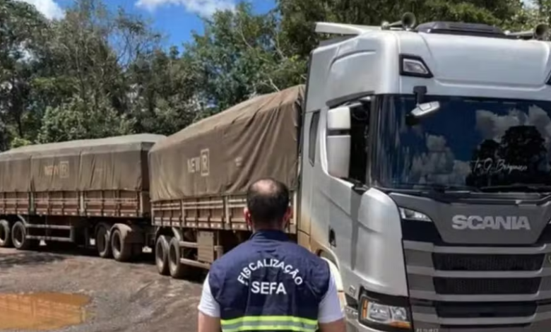 Mais de 35 mil garrafas de cachaça são apreendidas na Serra do Cachimbo. — Foto: Divulgação/Sefa