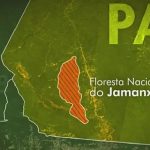 Floresta Nacional do Jamanxim — Foto: Reprodução/TV Globo