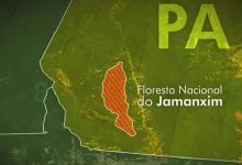 Floresta Nacional do Jamanxim — Foto: Reprodução/TV Globo