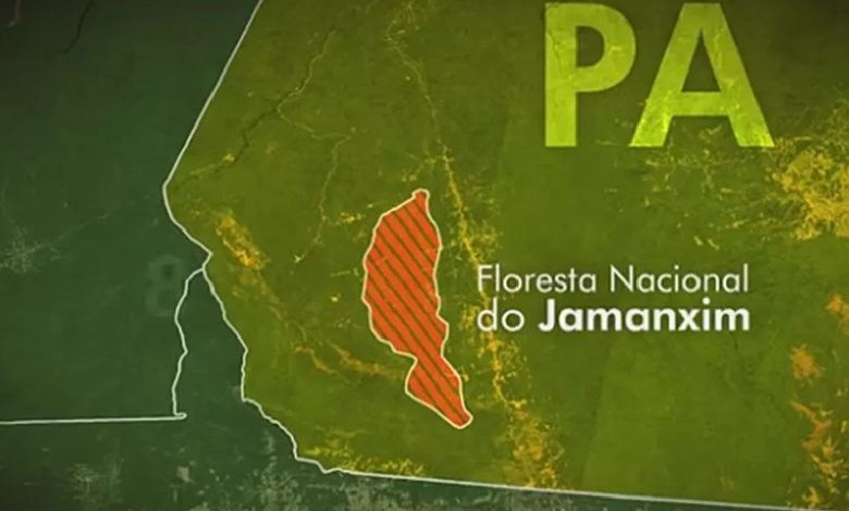 Floresta Nacional do Jamanxim — Foto: Reprodução/TV Globo