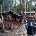 Pará tem 25 empregadores na nova atualização da lista suja do trabalho escravo