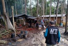 Pará tem 25 empregadores na nova atualização da lista suja do trabalho escravo