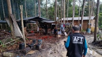 Pará tem 25 empregadores na nova atualização da lista suja do trabalho escravo