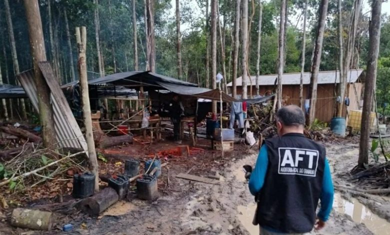 Pará tem 25 empregadores na nova atualização da lista suja do trabalho escravo