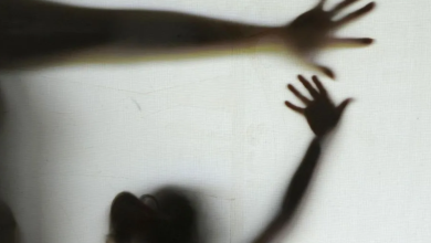 Nos últimos 11 meses, o TJRJ realizou 33.562 audiências sobre violência de gênero, 4% a mais que em 2024 • Foto: Elza Fiúza/Agência Brasil
