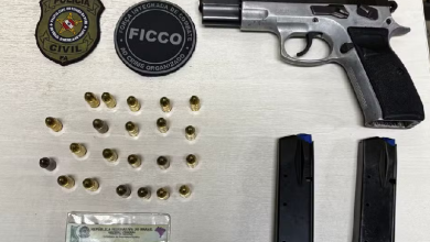 Arma e munições apreendidas durante a operação. — Foto: FICCO/PA e FICCO/MS